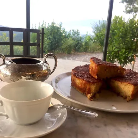 Holiday home Cozy Retreat With Pool And Stunning Views In Gattaia