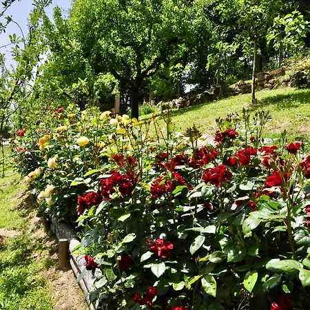 Cozy Retreat With Pool And Stunning Views In Casa vacanze