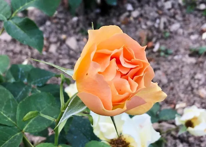 Cozy Retreat With Pool And Stunning Views In Dom wakacyjny *